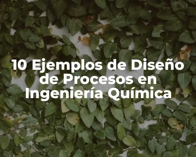 10 Ejemplos de Diseño de Procesos en Ingeniería Química