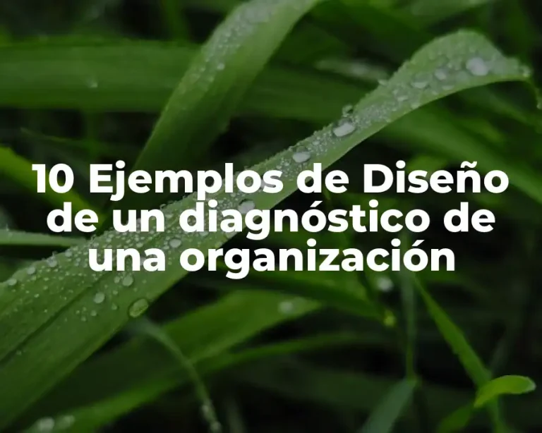 10 Ejemplos de Diseño de un diagnóstico de una organización