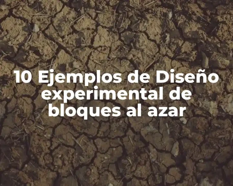 10 Ejemplos de Diseño experimental de bloques al azar