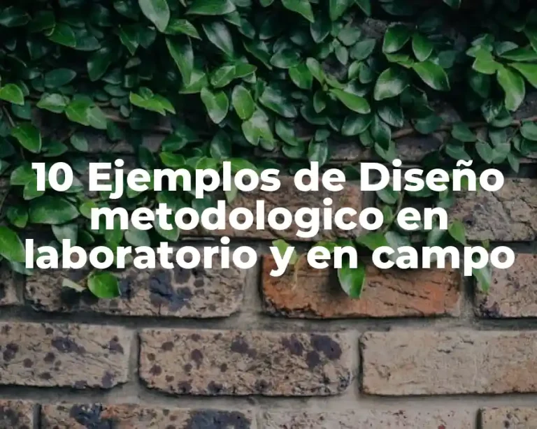 10 Ejemplos de Diseño metodologico en laboratorio y en campo