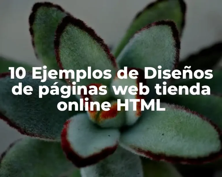 10 Ejemplos de Diseños de páginas web tienda online HTML