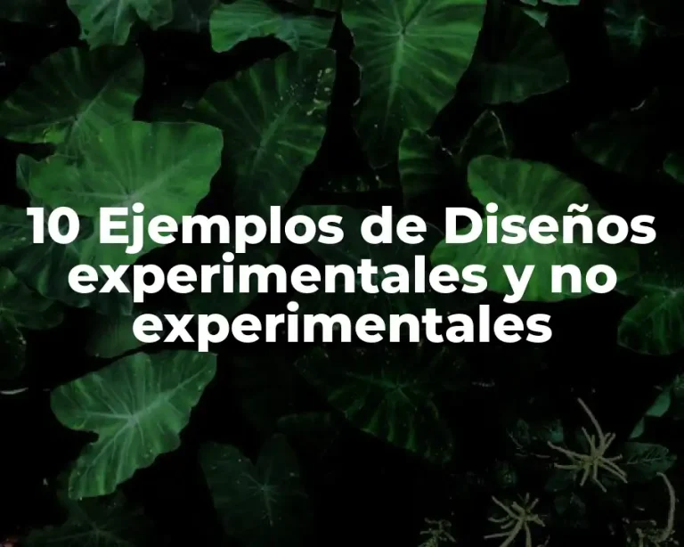 10 Ejemplos de Diseños experimentales y no experimentales