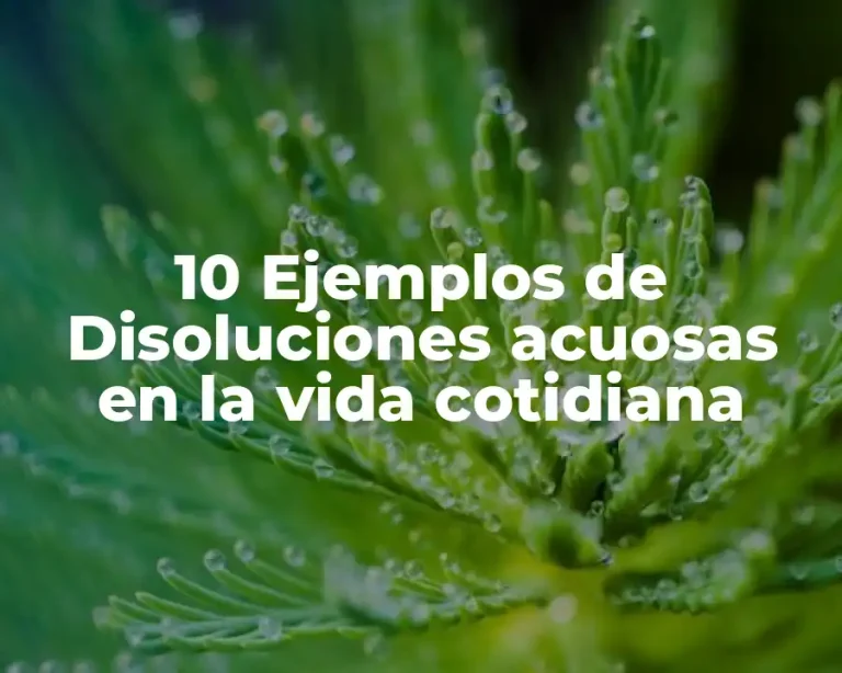 10 Ejemplos de Disoluciones acuosas en la vida cotidiana