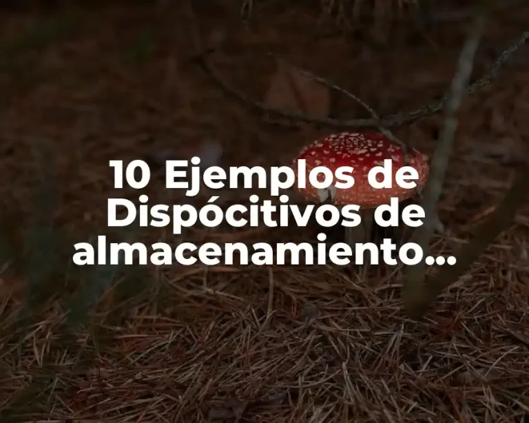 10 Ejemplos de Dispócitivos de almacenamiento ópticos, magnéticos y electrónicos