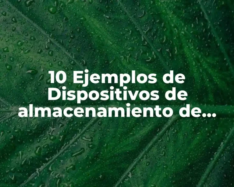 10 Ejemplos de Dispositivos de almacenamiento de entrada y salida