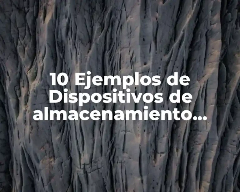 10 Ejemplos de Dispositivos de almacenamiento secundario