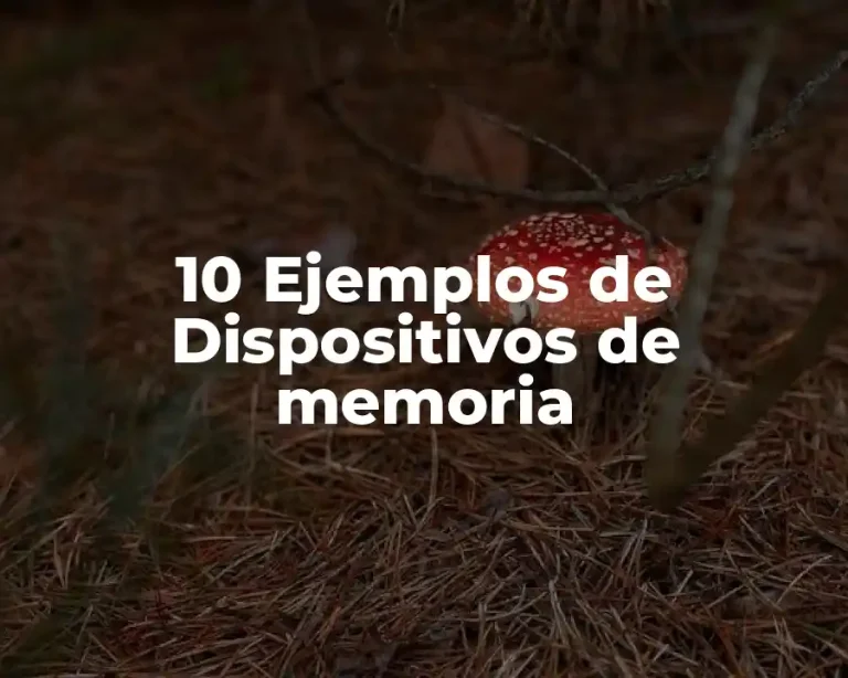 10 Ejemplos de Dispositivos de memoria