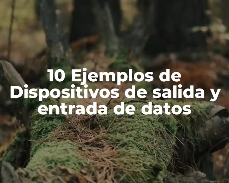 10 Ejemplos de Dispositivos de salida y entrada de datos