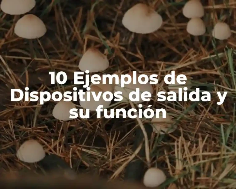 10 Ejemplos de Dispositivos de salida y su función
