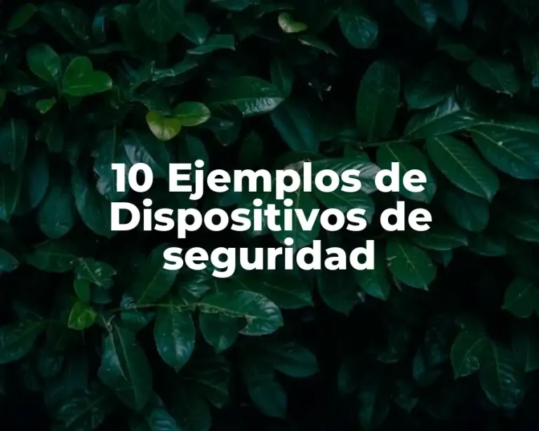 10 Ejemplos de Dispositivos de seguridad