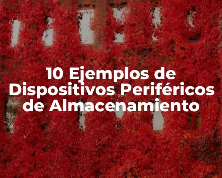10 Ejemplos de Dispositivos Periféricos de Almacenamiento