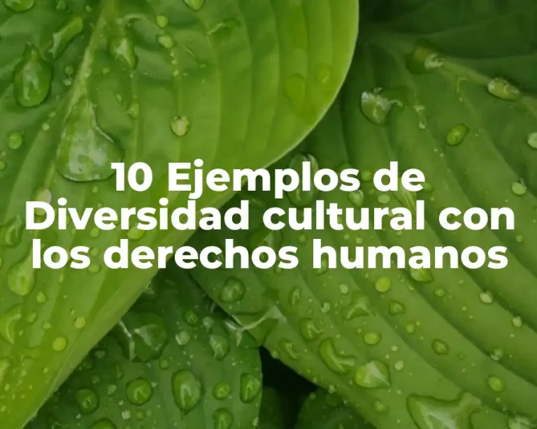 10 Ejemplos de Diversidad cultural con los derechos humanos