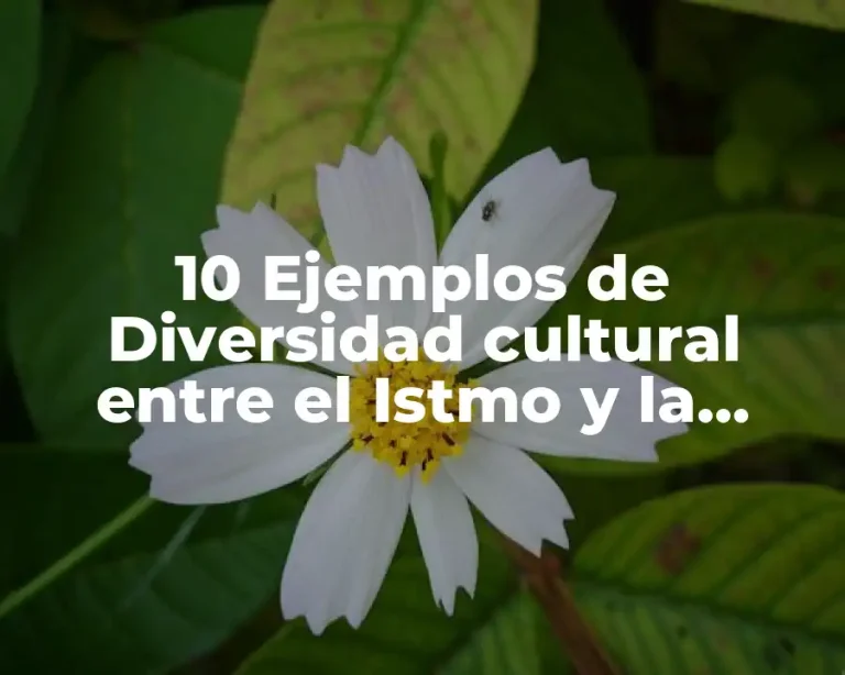 10 Ejemplos de Diversidad cultural entre el Istmo y la Huasteca