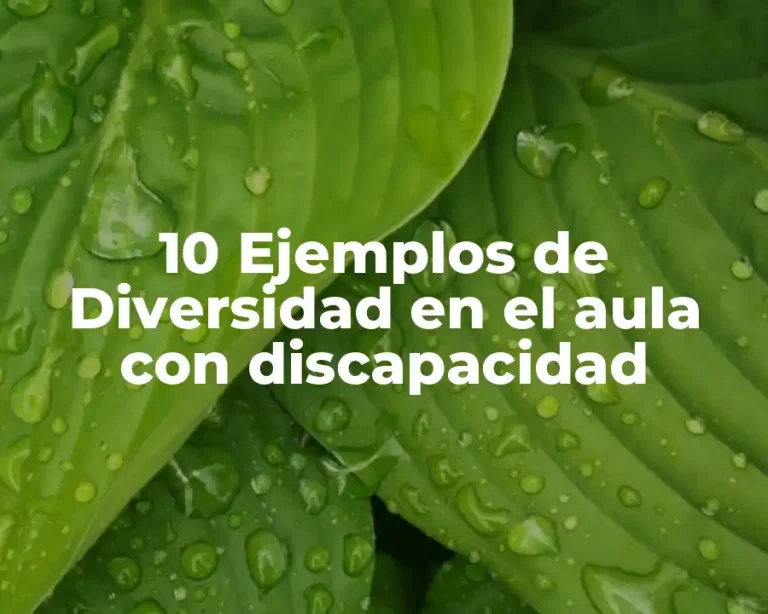 10 Ejemplos de Diversidad en el aula con discapacidad