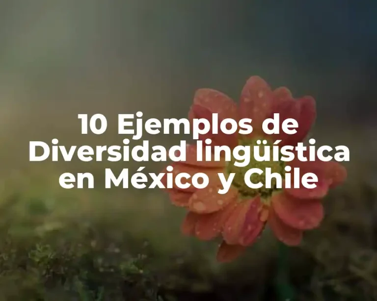 10 Ejemplos de Diversidad lingüística en México y Chile
