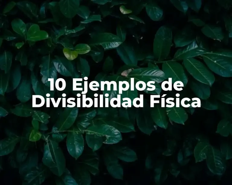 10 Ejemplos de Divisibilidad Física