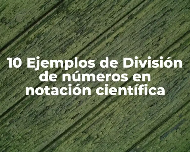 10 Ejemplos de División de números en notación científica