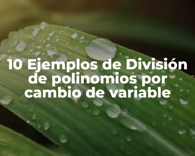 10 Ejemplos de División de polinomios por cambio de variable