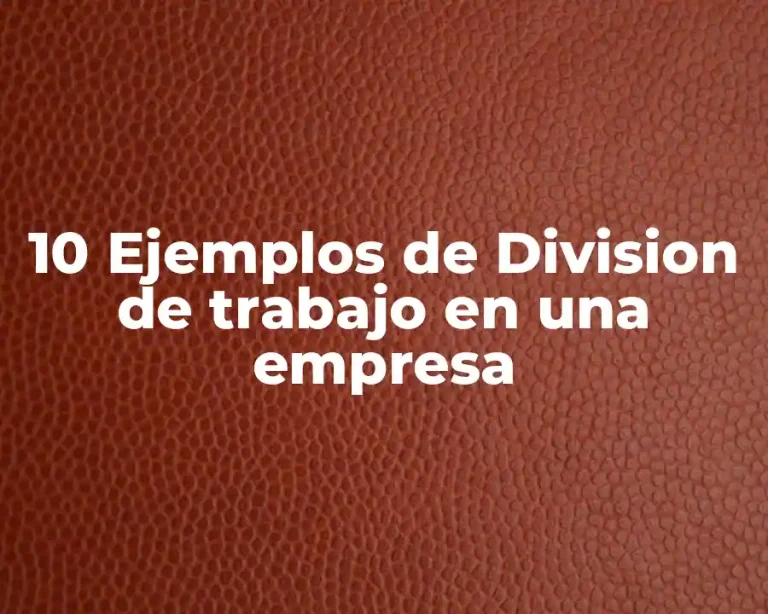 10 Ejemplos de Division de trabajo en una empresa
