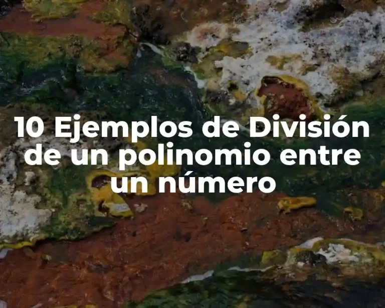 10 Ejemplos de División de un polinomio entre un número