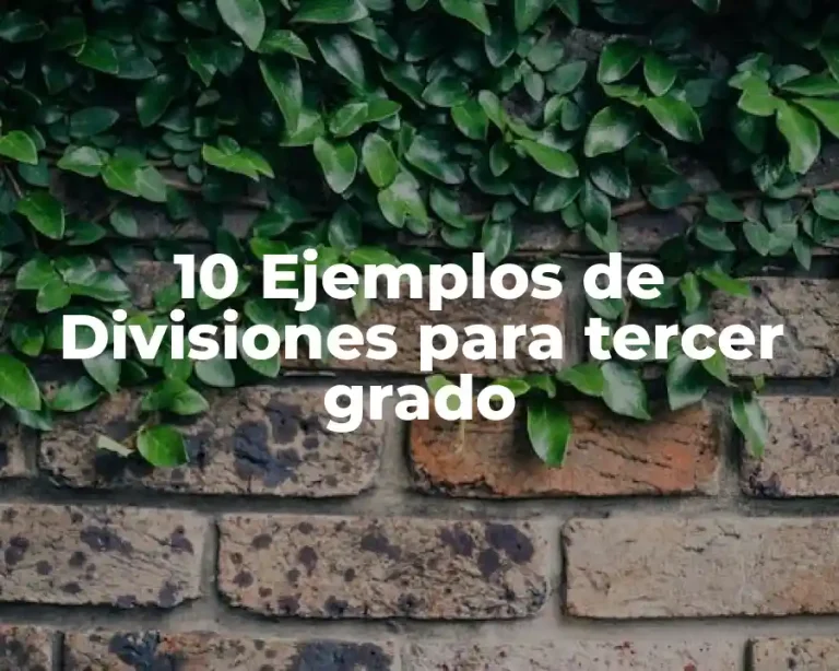 10 Ejemplos de Divisiones para tercer grado