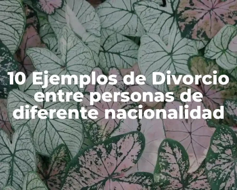 10 Ejemplos de Divorcio entre personas de diferente nacionalidad