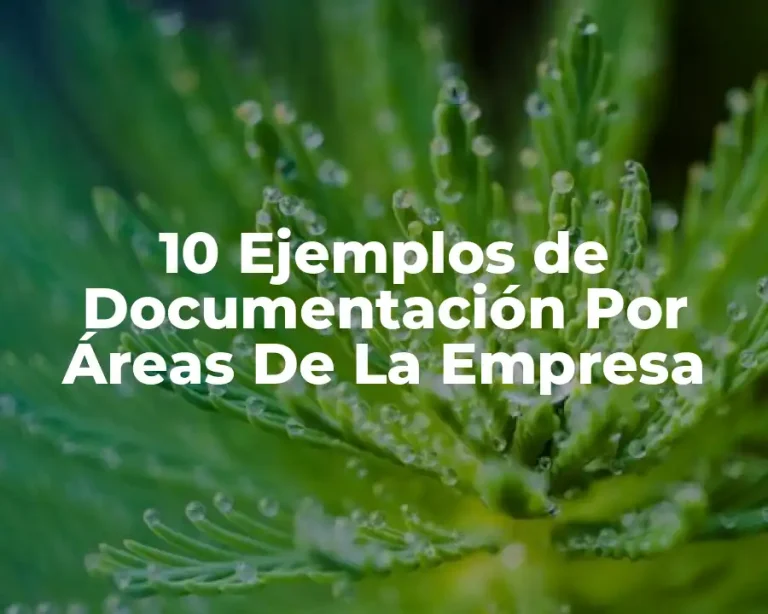 10 Ejemplos de Documentación Por Áreas De La Empresa