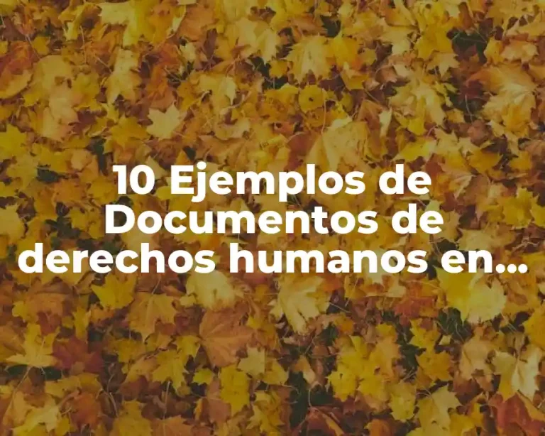 10 Ejemplos de Documentos de derechos humanos en México