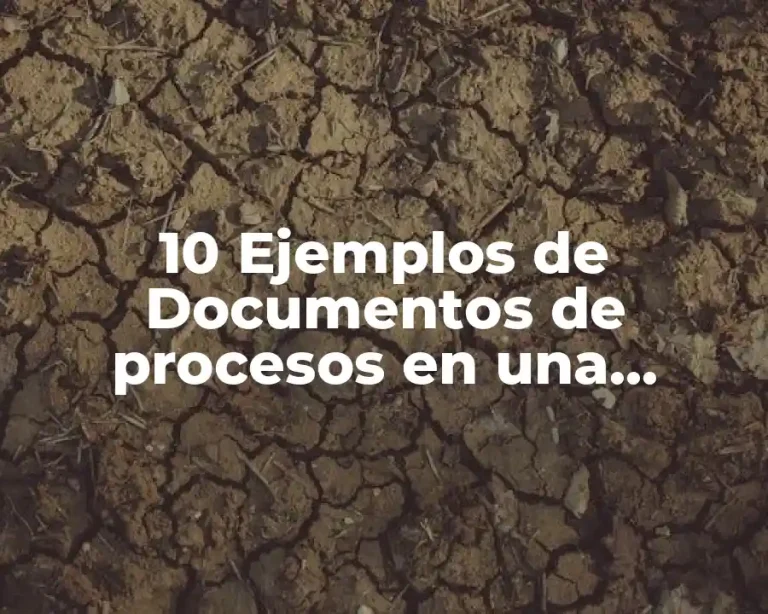10 Ejemplos de Documentos de procesos en una empresa