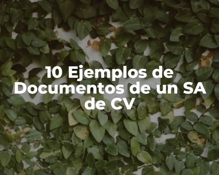 10 Ejemplos de Documentos de un SA de CV