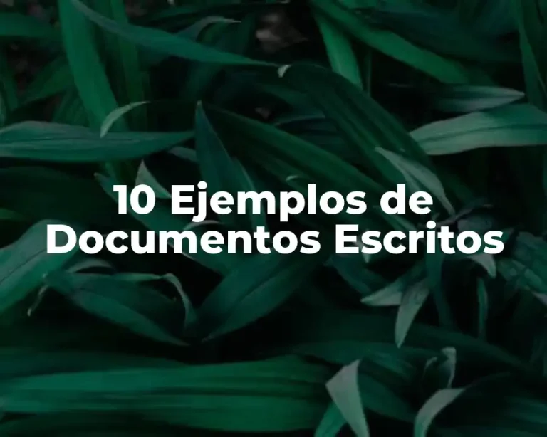 10 Ejemplos de Documentos Escritos