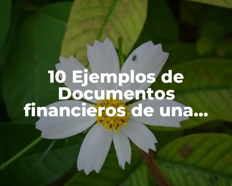 10 Ejemplos de Documentos financieros de una pequeña empresa