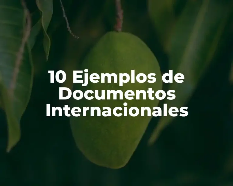 10 Ejemplos de Documentos Internacionales
