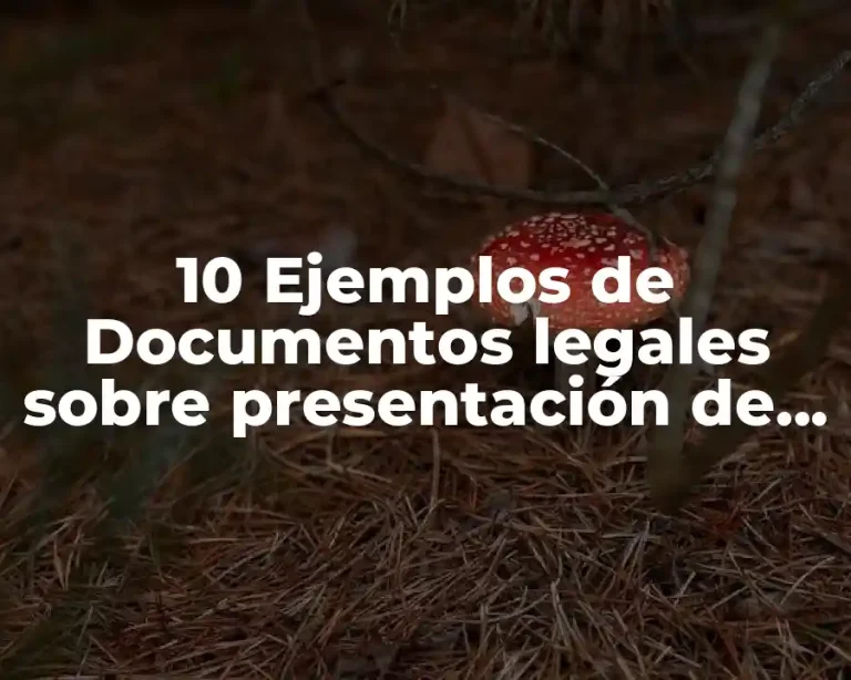 10 Ejemplos de Documentos legales sobre presentación de pruebas en México