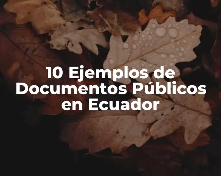 10 Ejemplos de Documentos Públicos en Ecuador