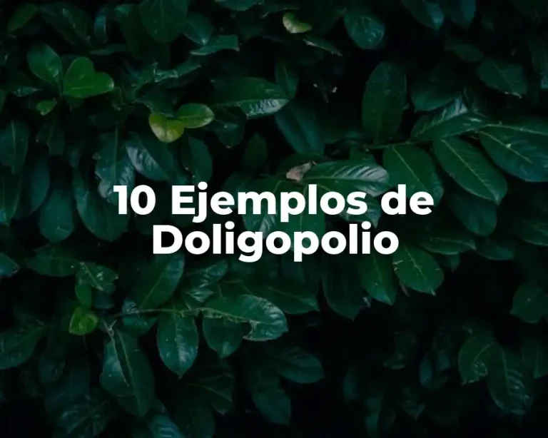 10 Ejemplos de Doligopolio