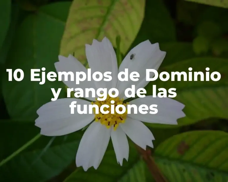 10 Ejemplos de Dominio y rango de las funciones