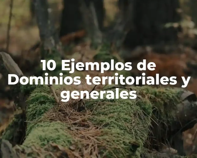 10 Ejemplos de Dominios territoriales y generales