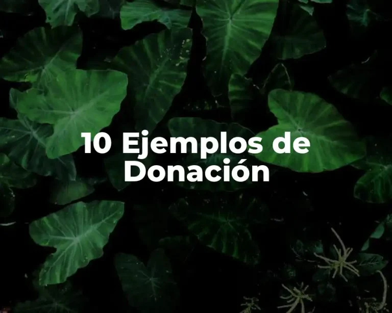 10 Ejemplos de Donación