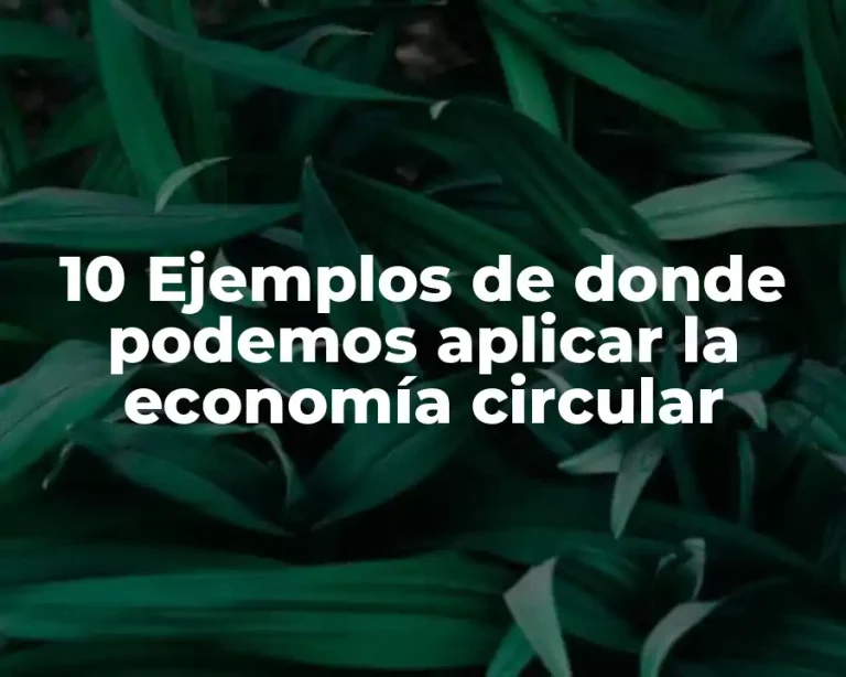 10 Ejemplos de donde podemos aplicar la economía circular