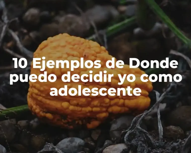 10 Ejemplos de Donde puedo decidir yo como adolescente