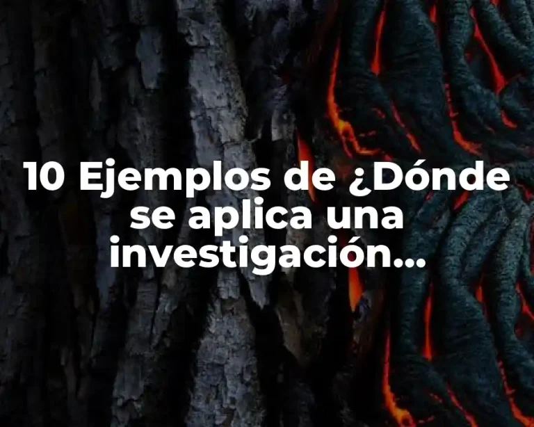 10 Ejemplos de ¿Dónde se aplica una investigación documental?