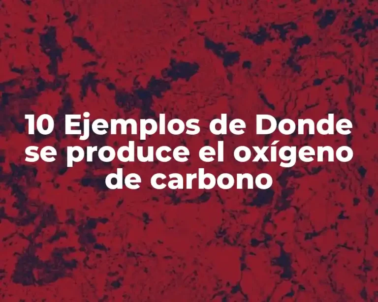 10 Ejemplos de Donde se produce el oxígeno de carbono