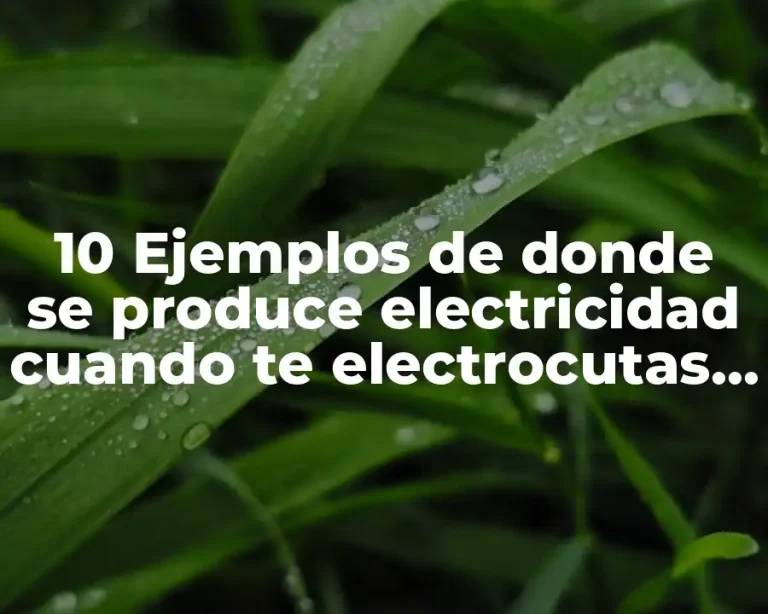 10 Ejemplos de donde se produce electricidad cuando te electrocutas dibujos