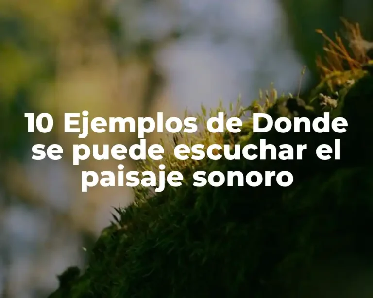 10 Ejemplos de Donde se puede escuchar el paisaje sonoro