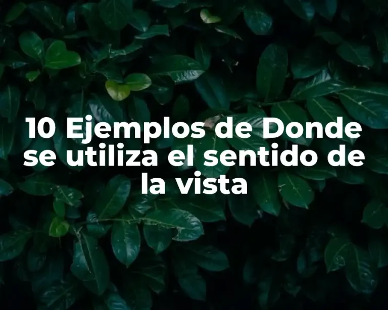 10 Ejemplos de Donde se utiliza el sentido de la vista
