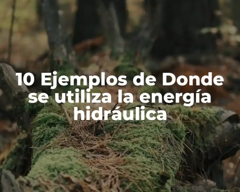 10 Ejemplos de Donde se utiliza la energía hidráulica