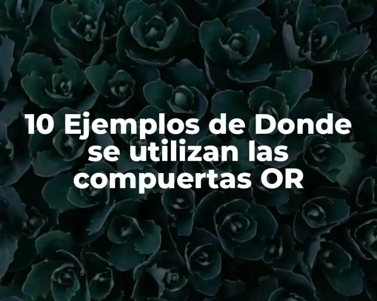 10 Ejemplos de Donde se utilizan las compuertas OR