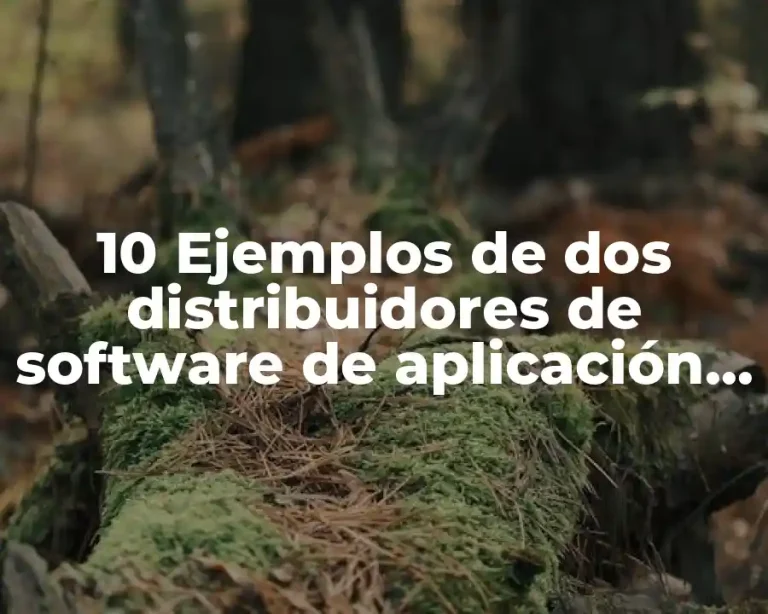 10 Ejemplos de dos distribuidores de software de aplicación empresarial