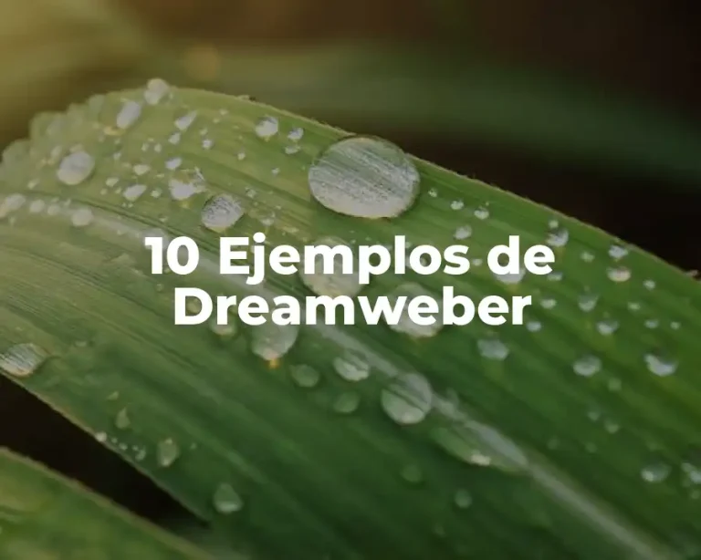 10 Ejemplos de Dreamweber